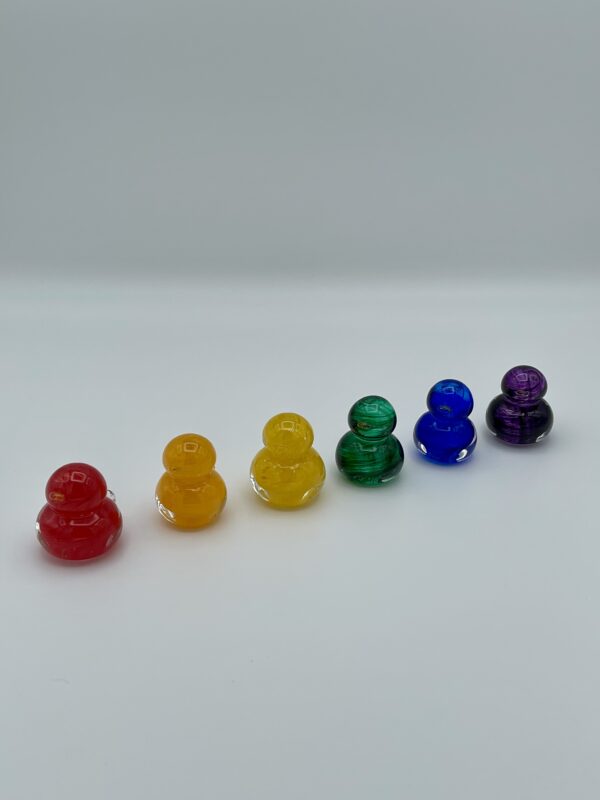 Rainbow Duck Set