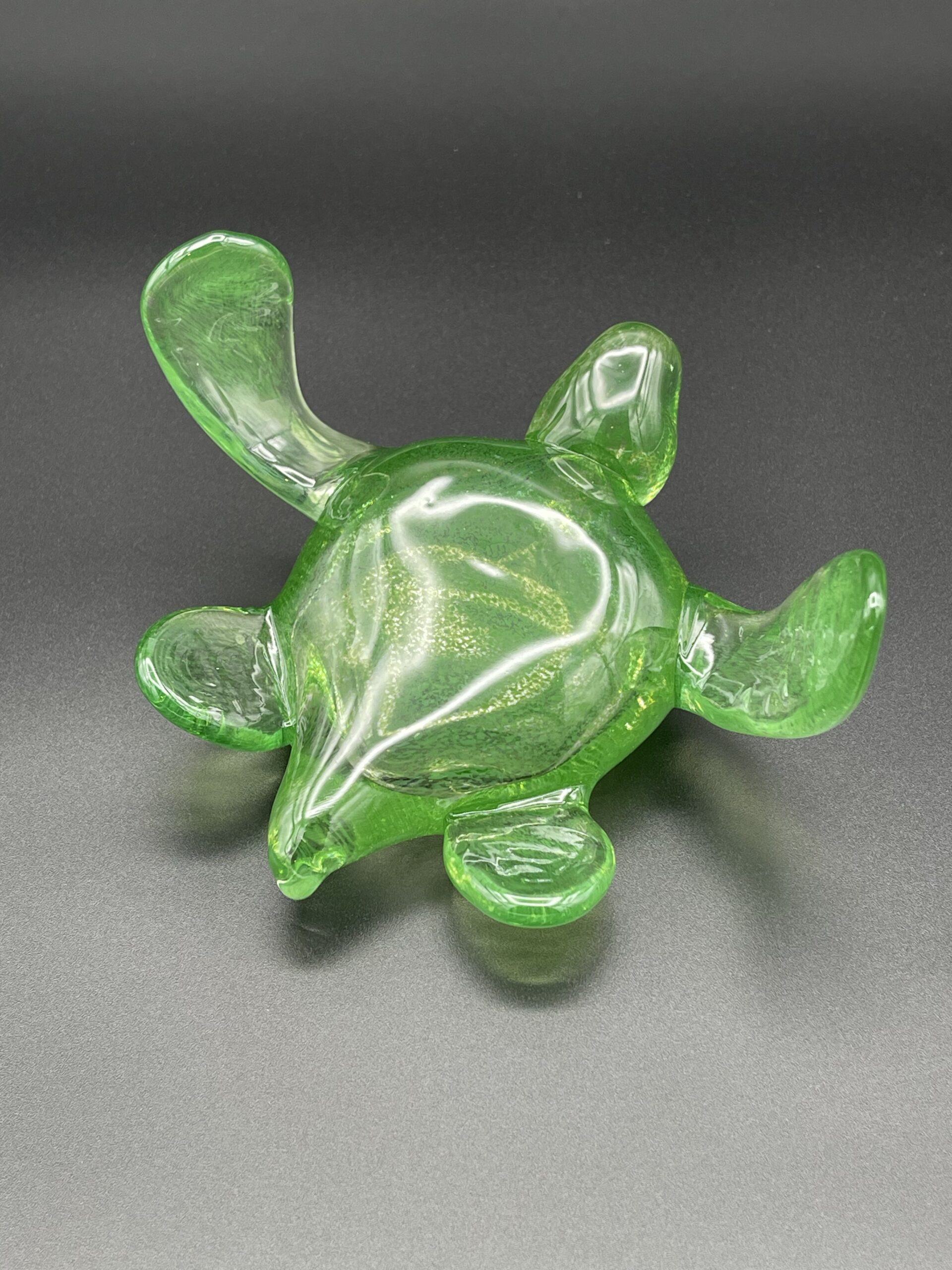 Turtle - Image 9