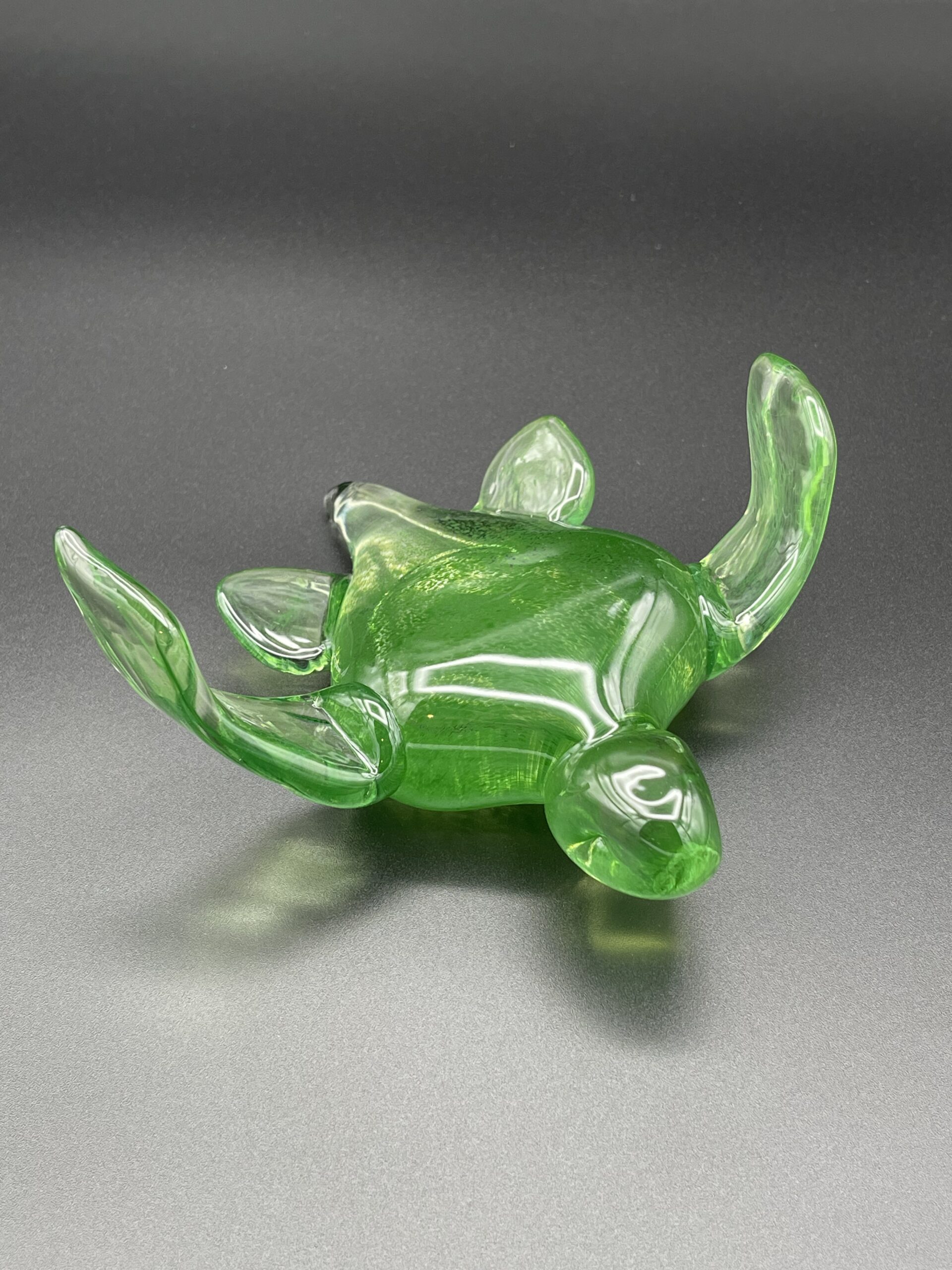 Turtle - Image 10