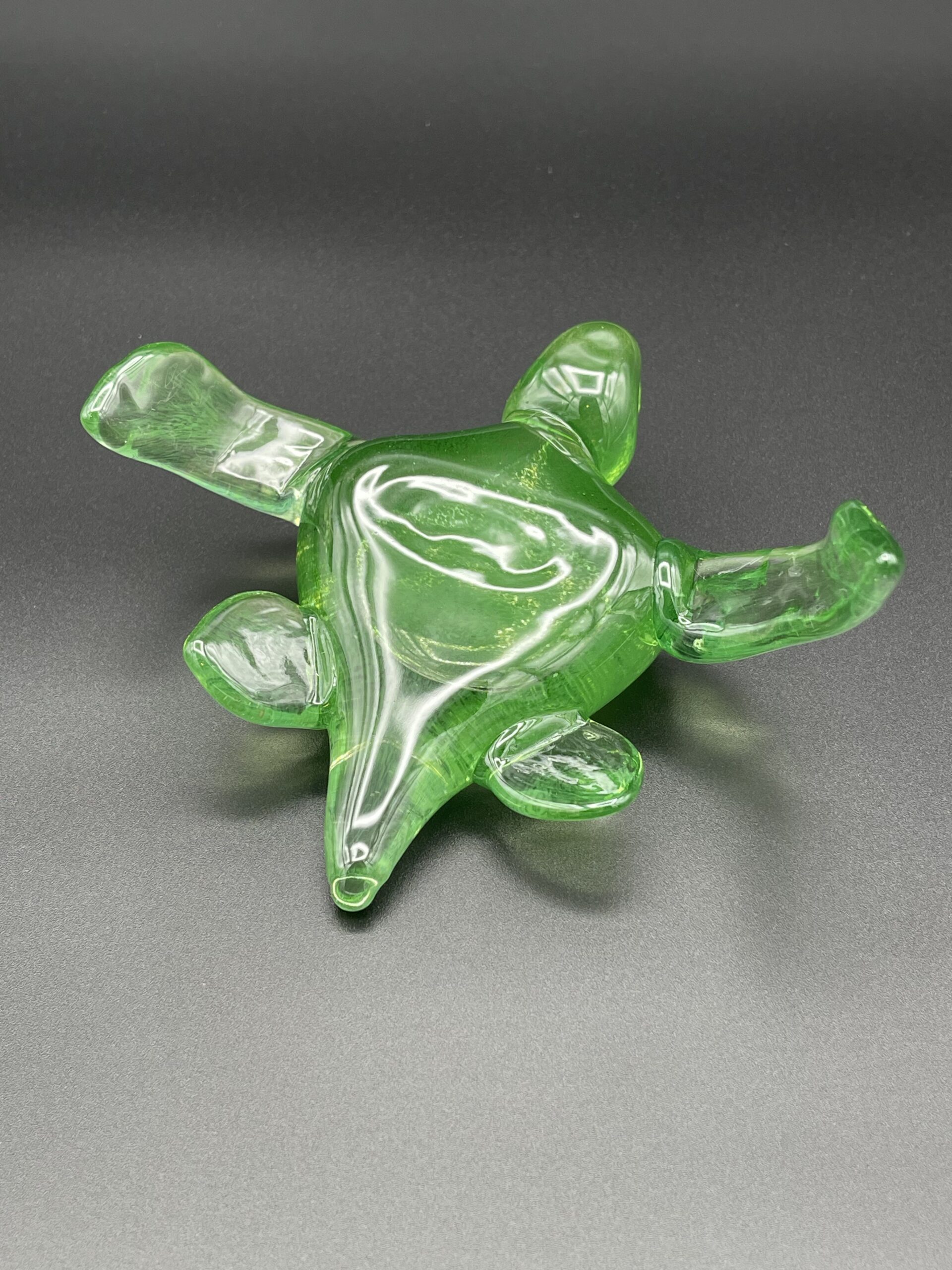 Turtle - Image 11