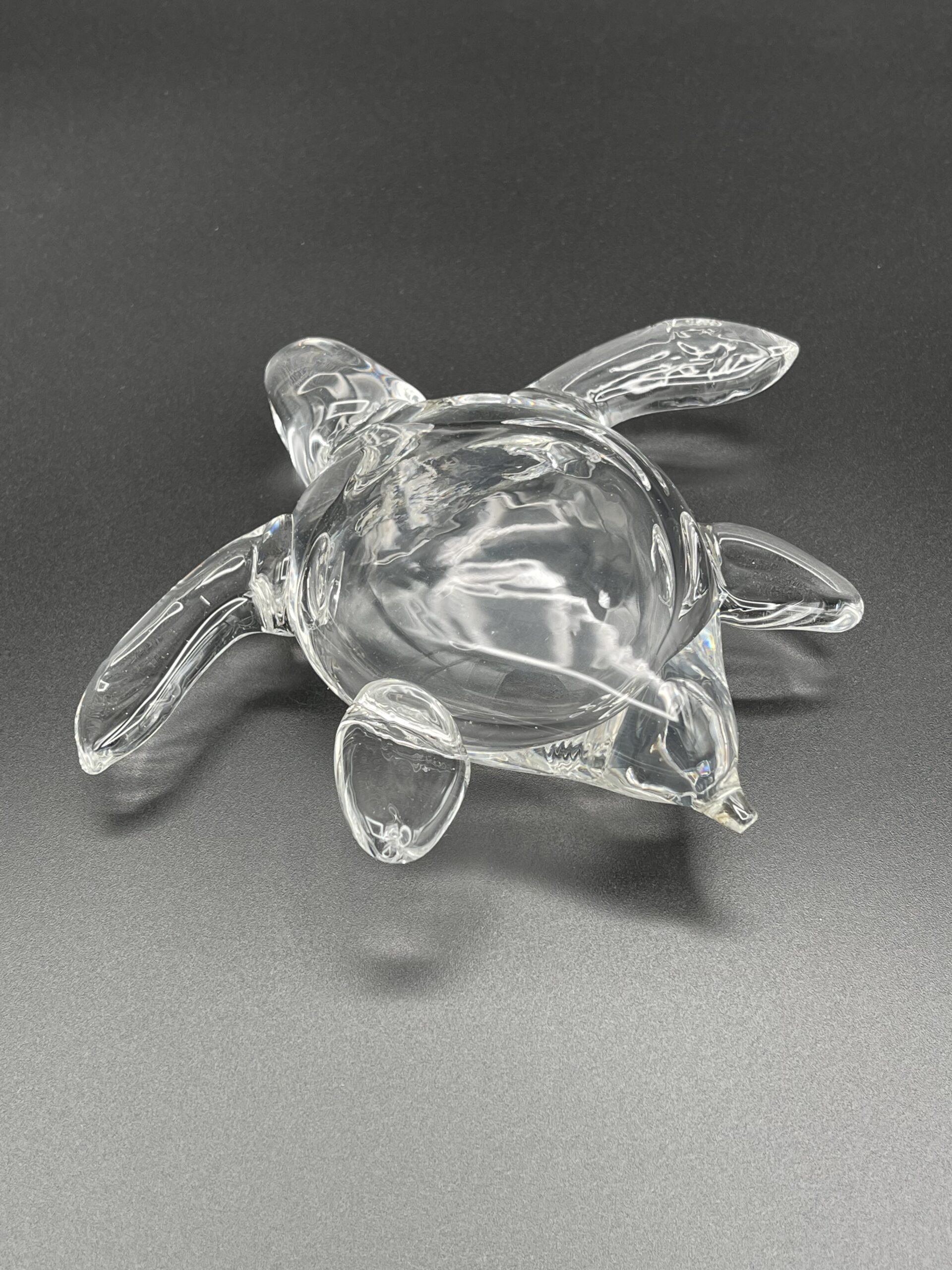 Turtle - Image 3