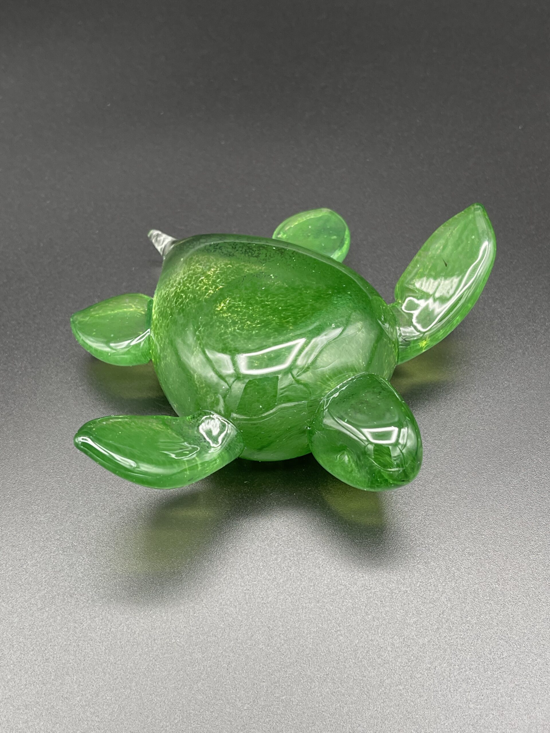 Turtle - Image 4