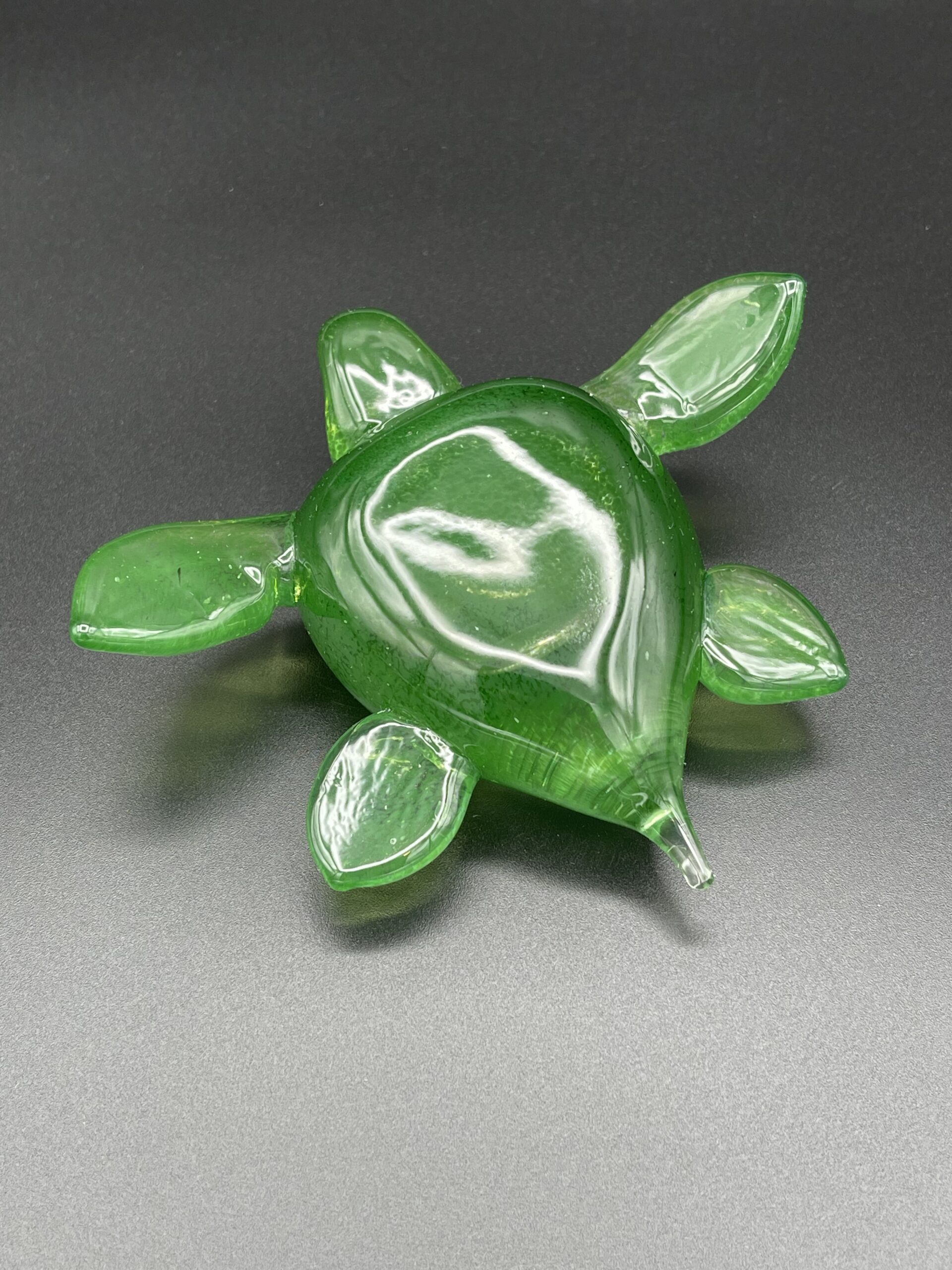 Turtle - Image 5
