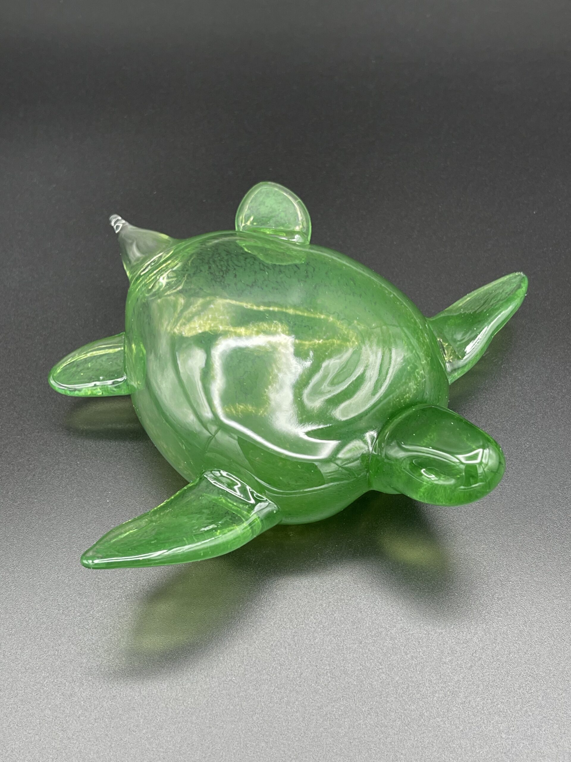 Turtle - Image 6