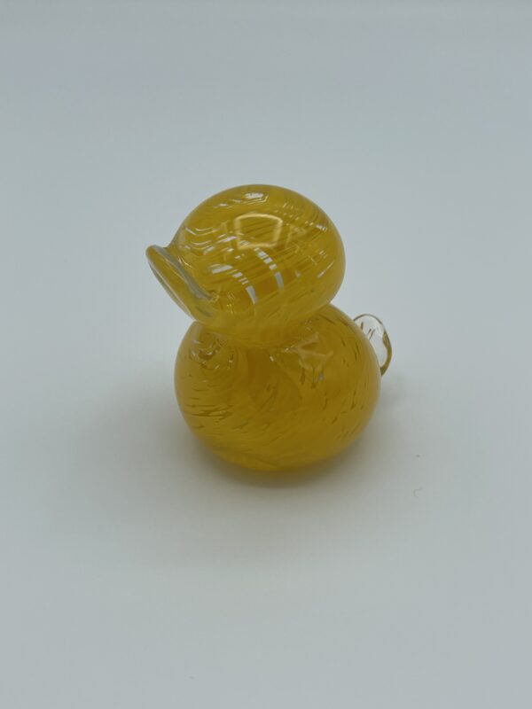 Duck - Image 8