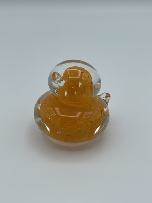 Duck - Image 3