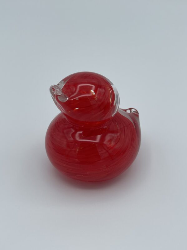 Duck - Image 7