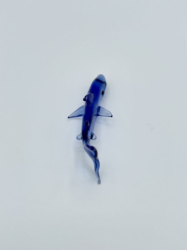 Shark - Image 2