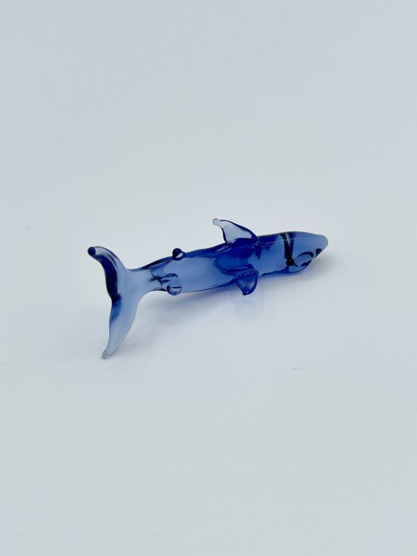 Shark - Image 3
