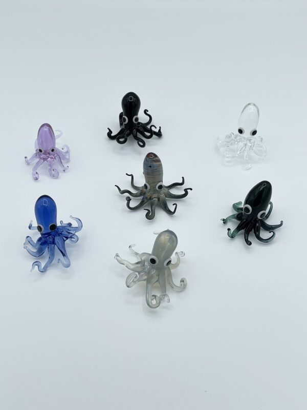 Octopus