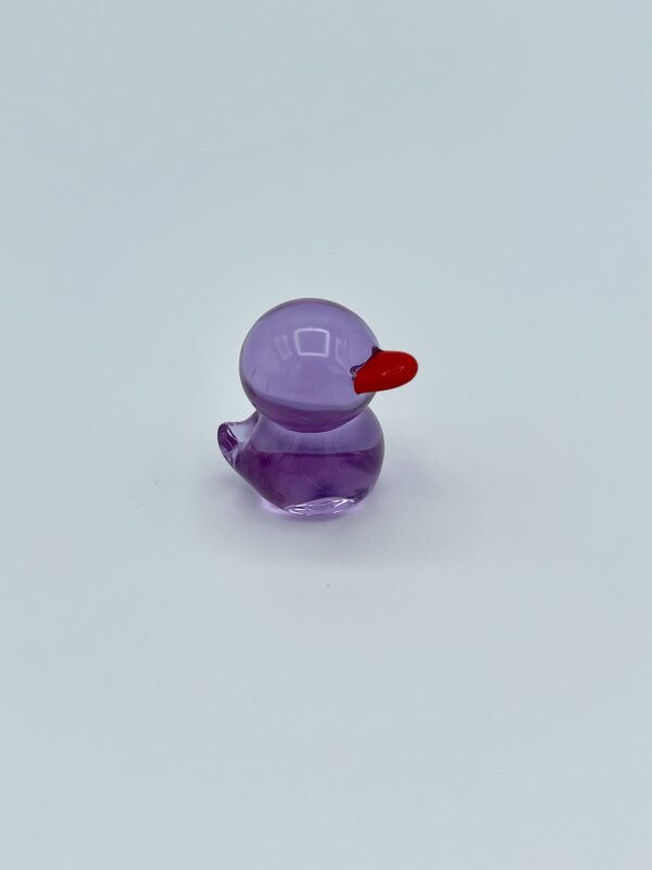 Duck - Image 4