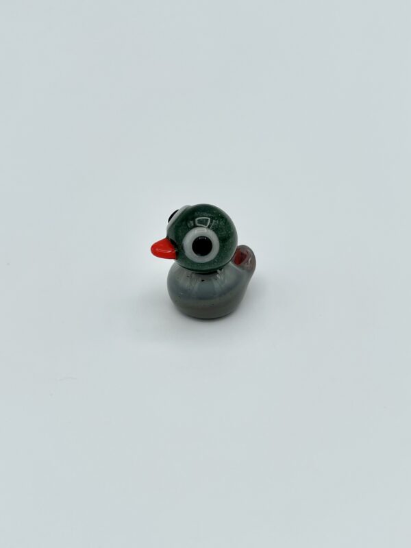 Duck, Mallard - Image 9