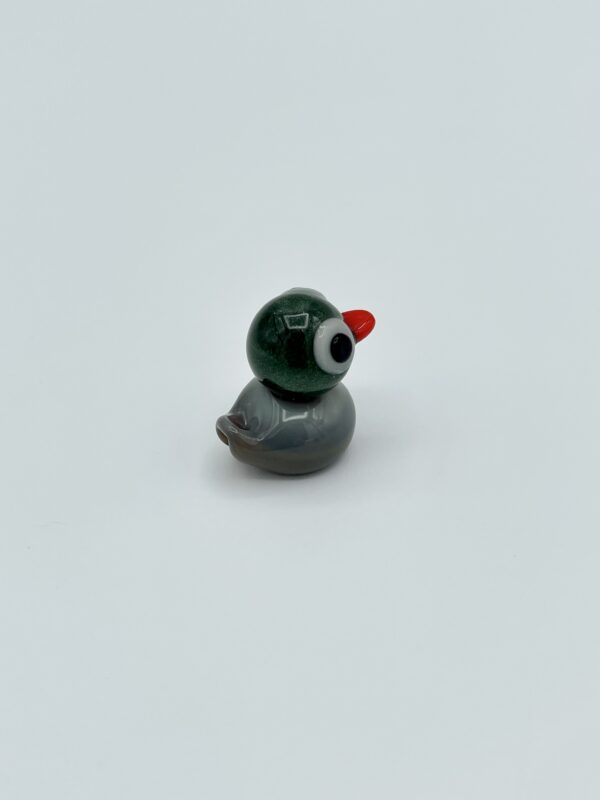 Duck, Mallard - Image 10