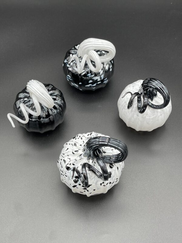 Pumpkin, Black and White