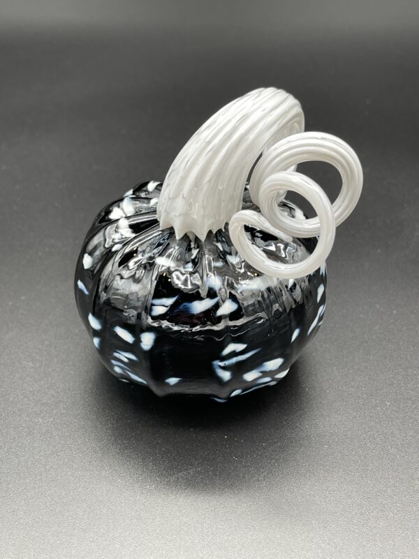 Pumpkin, Black and White - Image 5