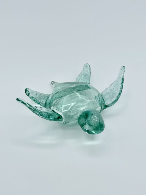 Turtle - Image 2