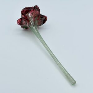 Flower, Long Stem