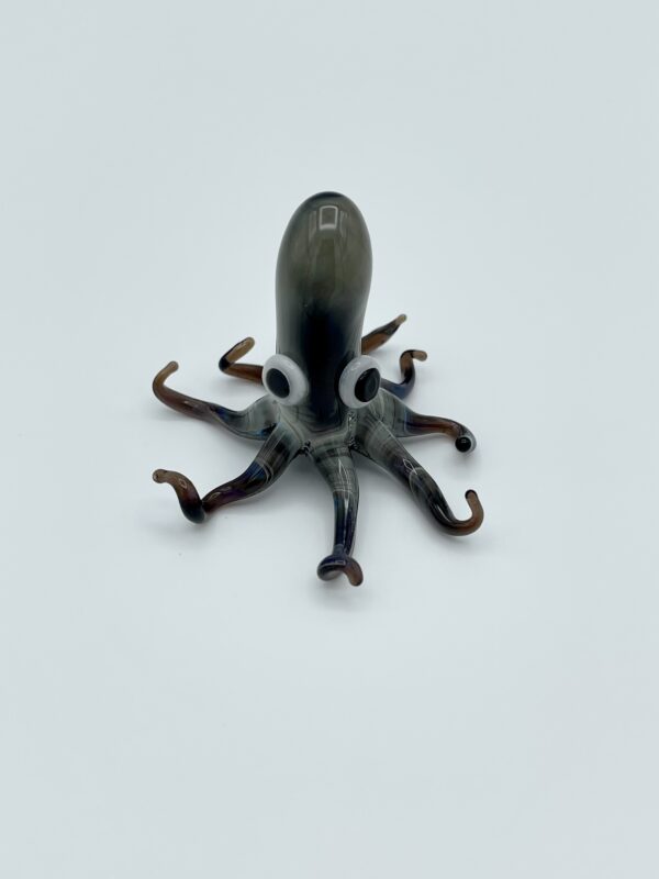 Octopus - Image 8